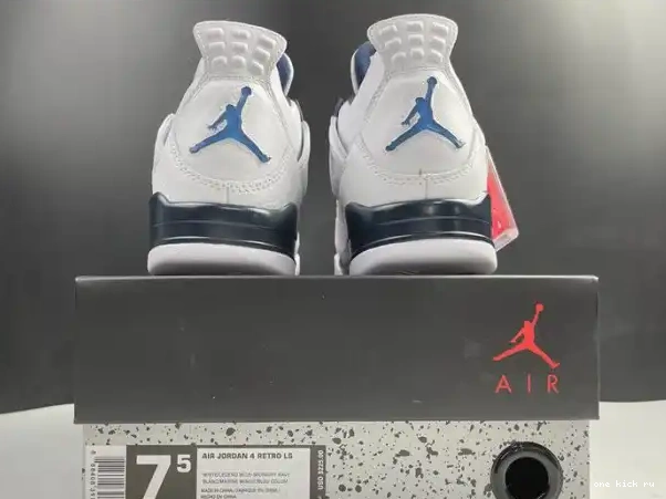 Rep Columbia (2015) Jordan Retro 314254-107 4 0222