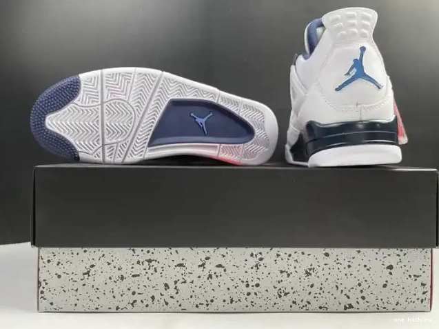 Rep Columbia (2015) Jordan Retro 314254-107 4 0222