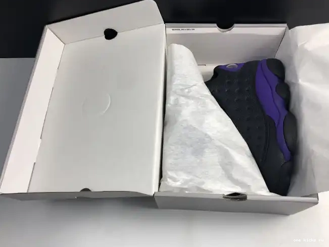 Rep Purple Jordan Court DJ5982-015 Air 13 0226