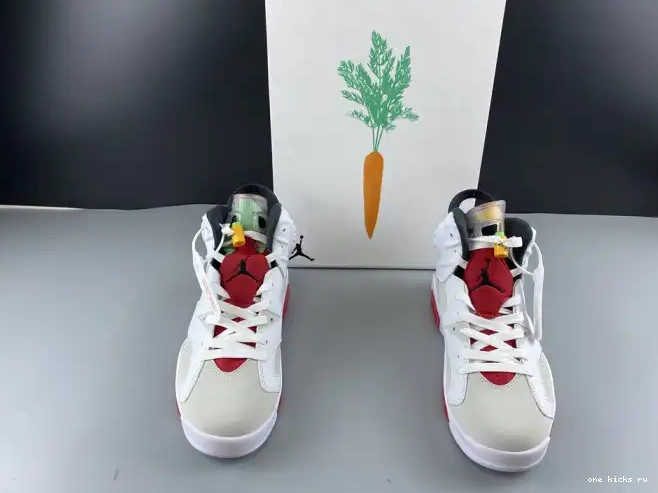 Rep Air Jordan 6 CT8529-062 Hare 0220