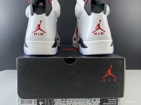 Rep 'CARMINE' 6 384664-160 JORDAN 2014 RETRO AIR 0316