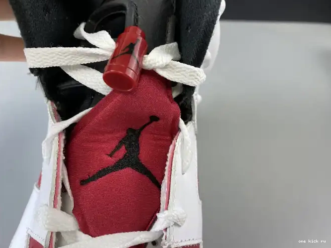 Rep 'CARMINE' 6 384664-160 JORDAN 2014 RETRO AIR 0316